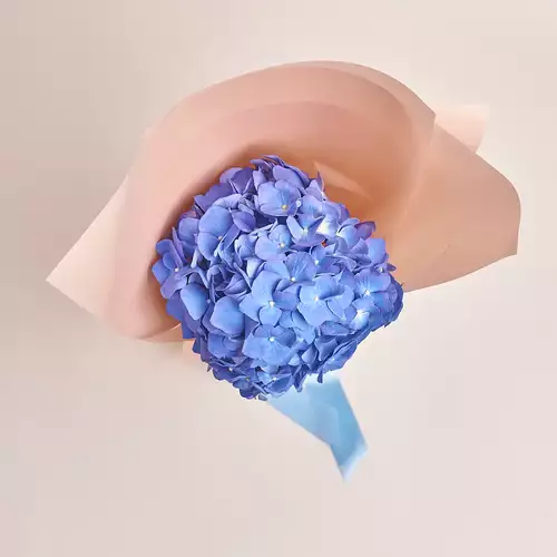Product image Bouquet 1 Blue Hydrangea, packaging: Powder, vendor code: 2743