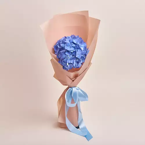 Product image Bouquet 1 Blue Hydrangea, packaging: Powder, vendor code: 2743