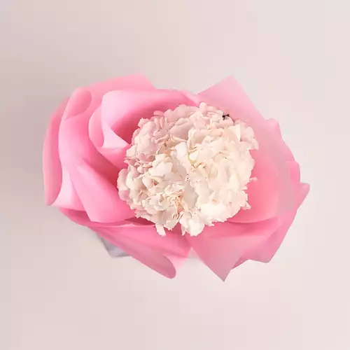 Product image Bouquet 1 White Hydrangea, packaging: Pink, vendor code: 2744