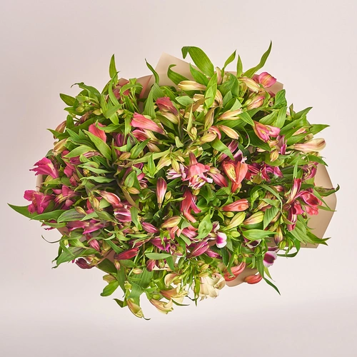 Product image Bouquet 35 Alstroemeria Mix, packaging: Gradiens pink, vendor code: 2746
