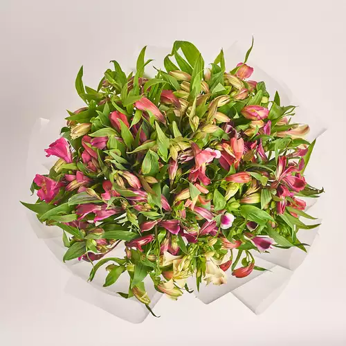 Product image Bouquet 35 Alstroemeria Mix, packaging: Transparent, vendor code: 2746