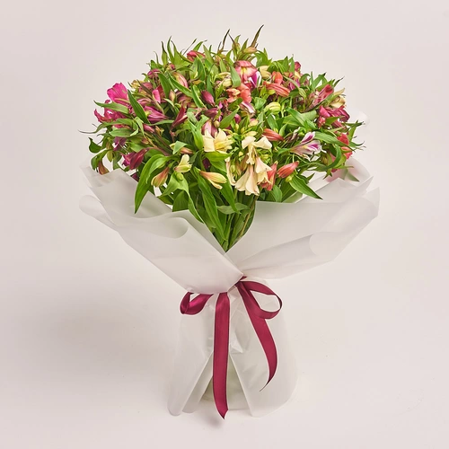 Product image , vendor code: 