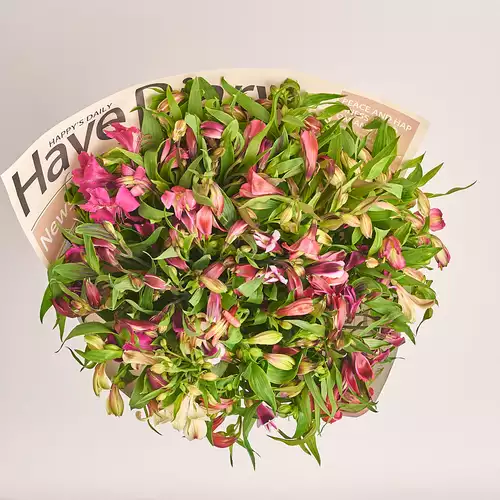 Product image Bouquet 35 Alstroemeria Mix, packaging: Newspaper, vendor code: 2746