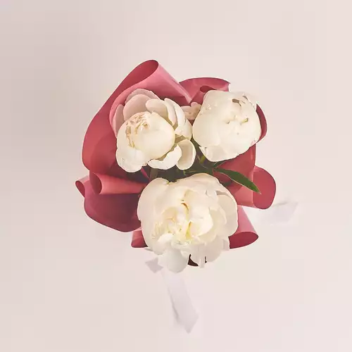 Product image Bouquet of 3 White Peonies, packaging: Coral, vendor code: 2747