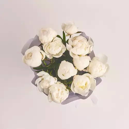Product image 11 White Peonies Bouquet, packaging: Gray, vendor code: 2750