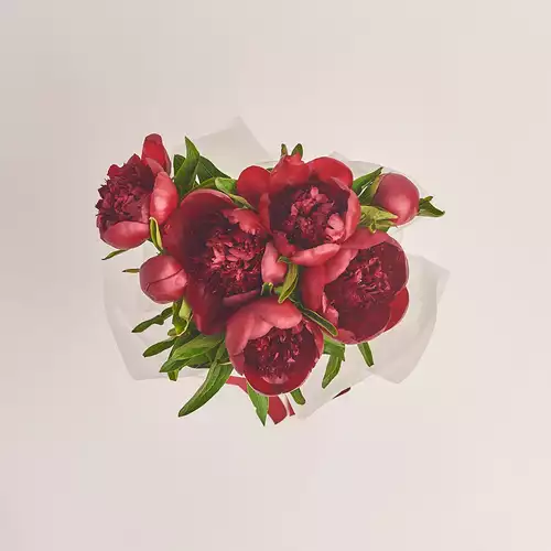 Product image Bouquet 7 Red Peonies, packaging: Transparent, vendor code: 2753