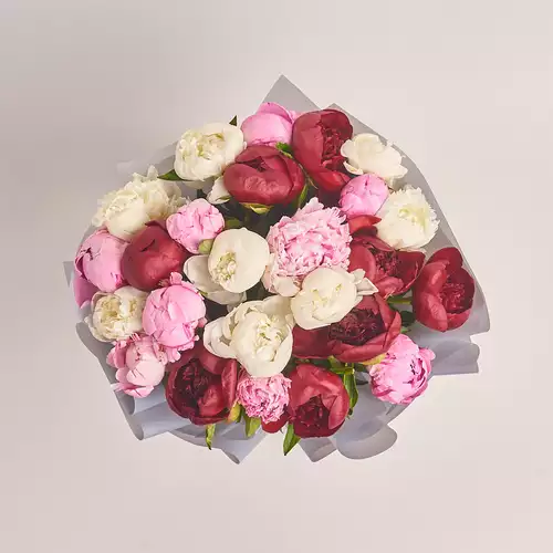 Product image Bouquet of 25 Peonies Mix, packaging: Gray, vendor code: 2754