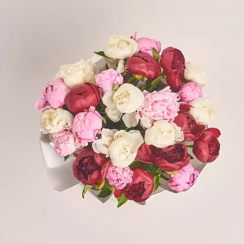 Product image Bouquet of 25 Peonies Mix, packaging: White, vendor code: 2754
