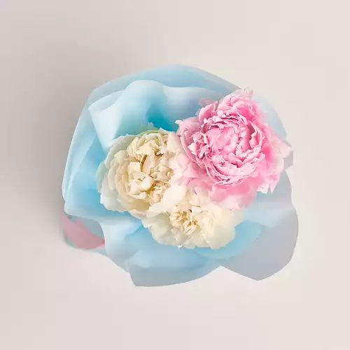 Product image Bouquet of 3 White and Pink Peonies Mix, packaging: Blue, vendor code: 2756