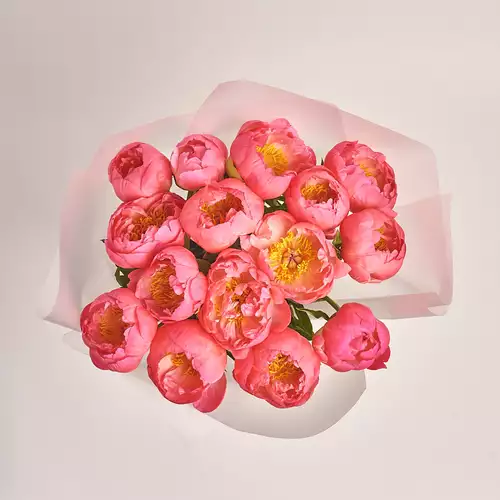 Product image Bouquet of 15 Coral Peonies, packaging: Transparent, vendor code: 2758