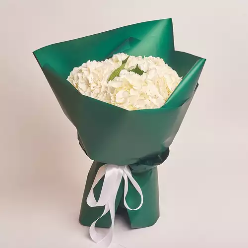 Product image Bouquet of 5 White Hydrangeas, packaging: Green, vendor code: 2760