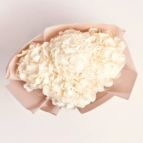 Product image Bouquet of 5 White Hydrangeas, packaging: Powder, vendor code: 2760