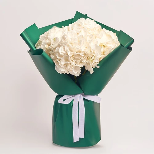 Product image , vendor code: 