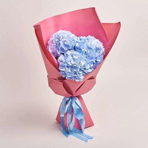 Product image Bouquet of 3 Blue Hydrangeas, packaging: Coral, vendor code: 2761