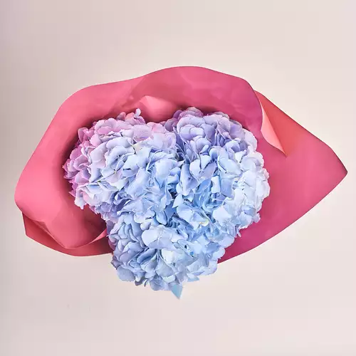 Product image Bouquet of 3 Blue Hydrangeas, packaging: Coral, vendor code: 2761