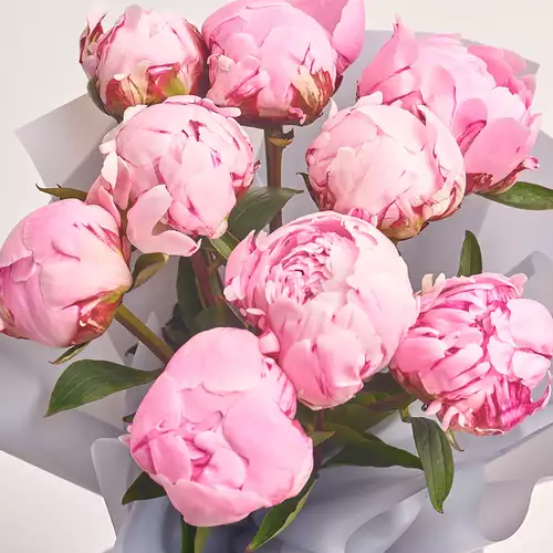 Product image Bouquet of 9 Pink Peonies, packaging: Gray, vendor code: 2763