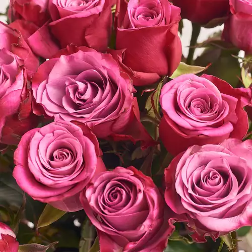 Product image Bouquet of 15 Roses Moody Blues, packaging: Pink, vendor code: 2765