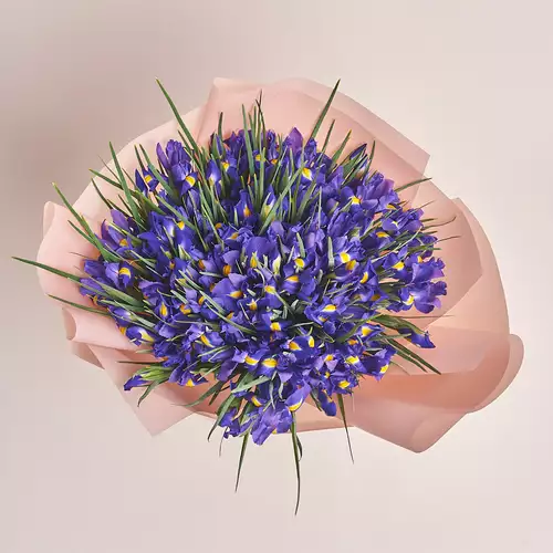 Product image Bouquet of 75 Irises, packaging: Powder, vendor code: 2766