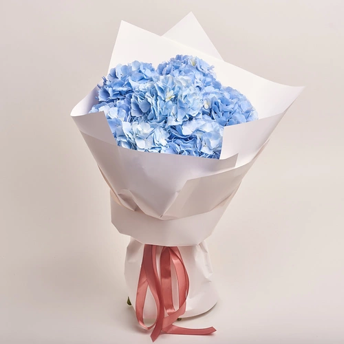 Product image Bouquet of 7 Blue Hydrangeas, packaging: White, vendor code: 2768