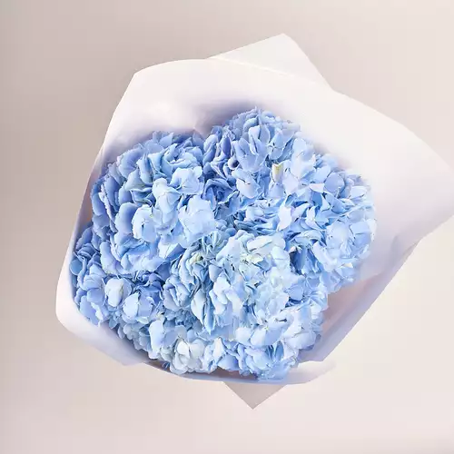 Product image Bouquet of 7 Blue Hydrangeas, packaging: White, vendor code: 2768
