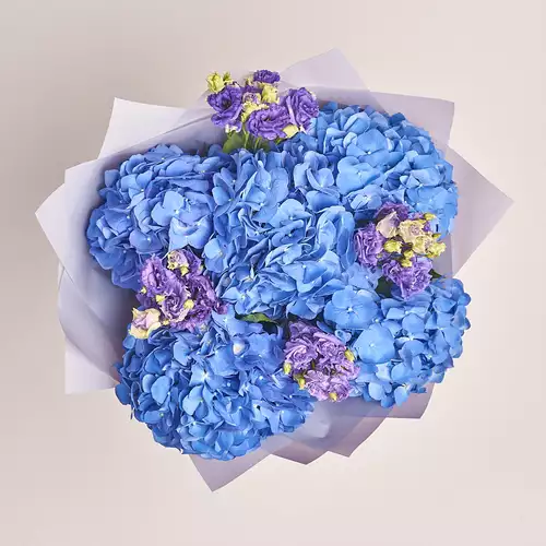 Product image Bouquet of 5 Blue Hydrangeas and Violet Eustoma, packaging: Gray, vendor code: 2769