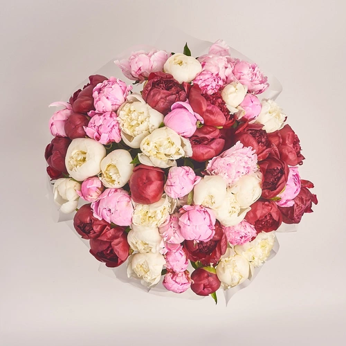 Product image Bouquet 51 Peony Mix, packaging: Transparent, vendor code: 2770