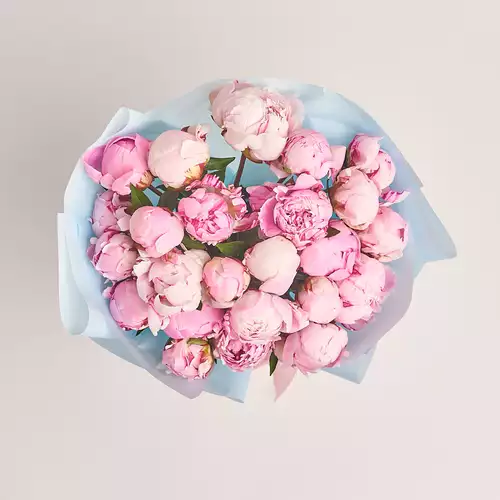 Product image Bouquet of 25 Pink Peonies Mix, packaging: Blue, vendor code: 2771