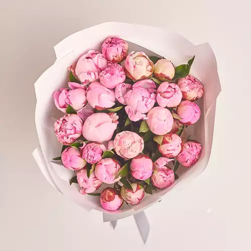 Product image Bouquet of 25 Pink Peonies Mix, packaging: White, vendor code: 2771