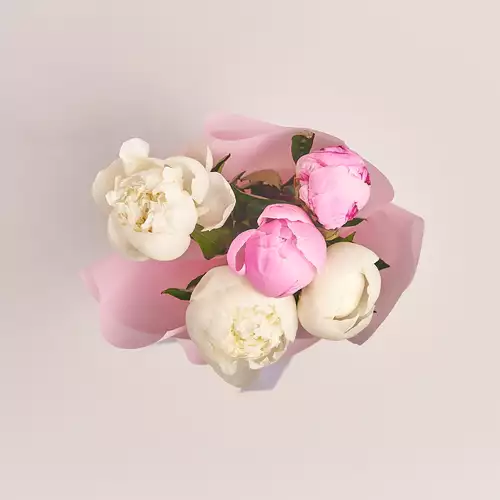Product image Bouquet 5 Peonies Mix, packaging: Pink, vendor code: 2773