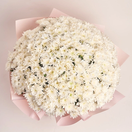 Product image Bouquet 51 White Chrysanthemum, packaging: Composite light pink, vendor code: 2774