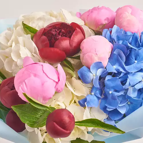 Product image Bouquet of 3 Hydrangeas and 9 Peonies, packaging: Blue, vendor code: 2777
