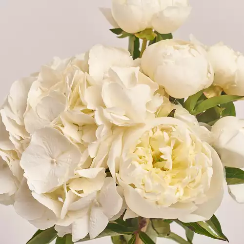 Product image Bouquet of 5 White Peonies and Hydrangea, packaging: Gray, vendor code: 2780