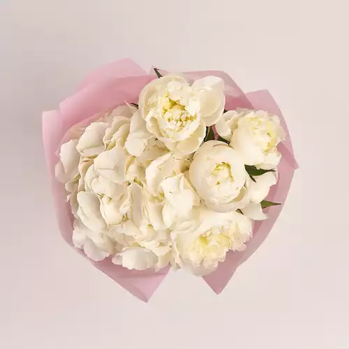 Product image Bouquet of 5 White Peonies and Hydrangea, packaging: Pink, vendor code: 2780