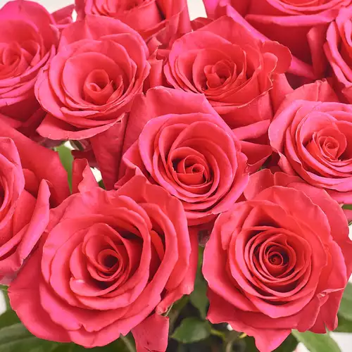 Product image Bouquet of 11 Hot pink Roses, packaging: Gray, vendor code: 2784