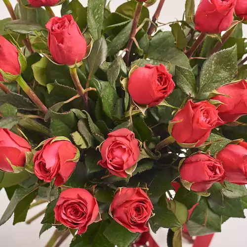 Product image Bouquet of 35 Roses Cherie O, packaging: Pink, vendor code: 2786