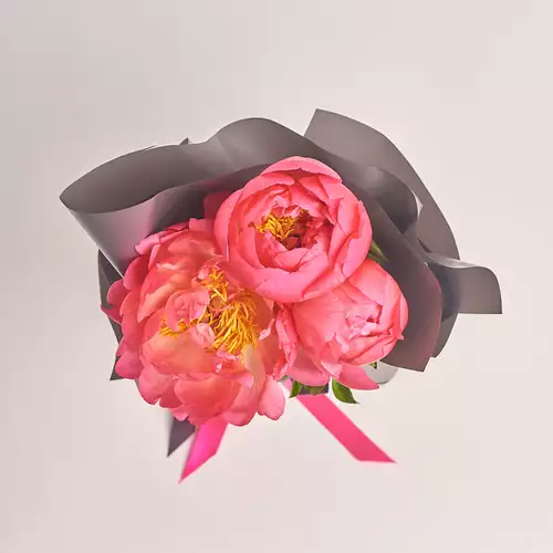 Product image Bouquet of 3 Coral Peonies, packaging: 
Graphite, vendor code: 2789