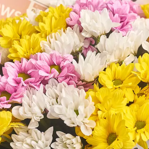 Product image Bouquet of 15 Chrysanthemums Daisies Mix, packaging: Newspaper, vendor code: 2791