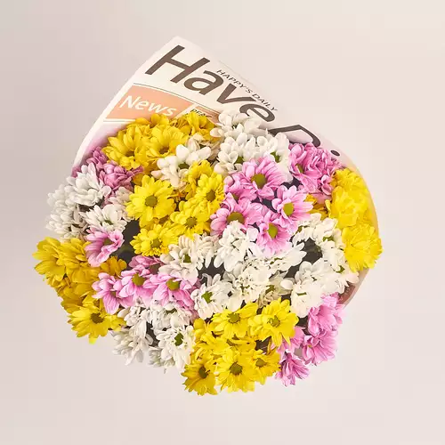 Product image Bouquet of 15 Chrysanthemums Daisies Mix, packaging: Newspaper, vendor code: 2791