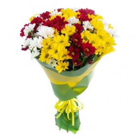 Bouquet of 15 Chrysanthemums Daisies Mix 