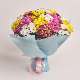 Bouquet of 25 Chrysanthemums Daisies Mix 