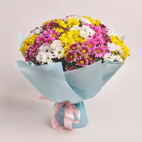 Product image Bouquet of 25 Chrysanthemums Daisies Mix , packaging: Blue, vendor code: 2792