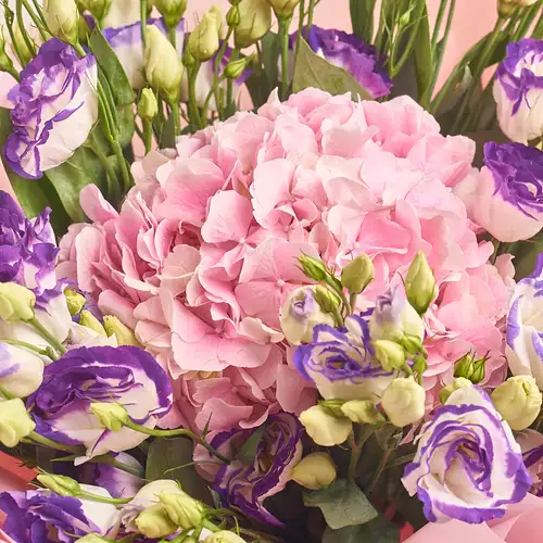 Product image Bouquet Eustoma and Pink Hydrangea, packaging: Gradiens violet, vendor code: 2796