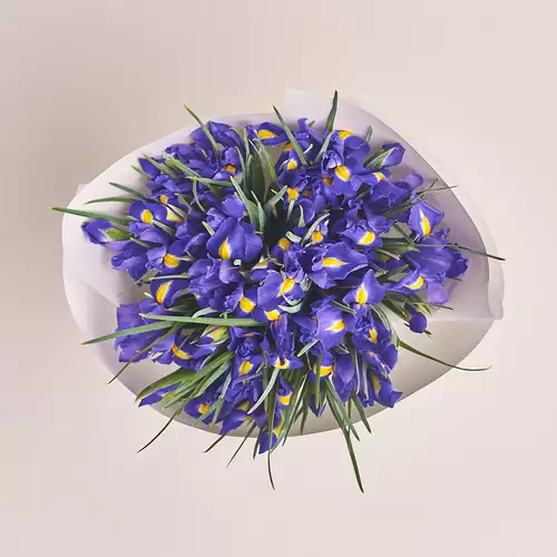 Product image Bouquet of 35 Irises, packaging: White, vendor code: 2856