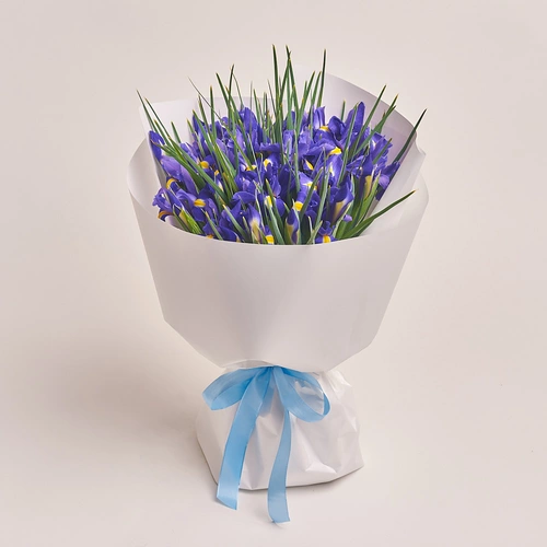 Product image Bouquet of 35 Irises, packaging: White, vendor code: 2856