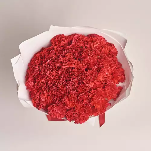 Product image Bouquet 51 Red Carnations, packaging: White, vendor code: 2859