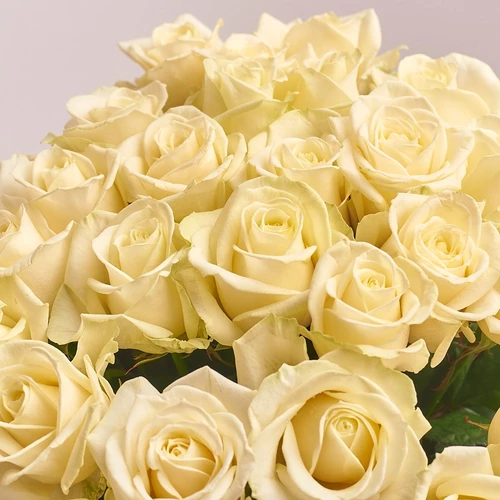 Product image Bouquet of 25 White Roses, packaging: Peach, vendor code: 2869