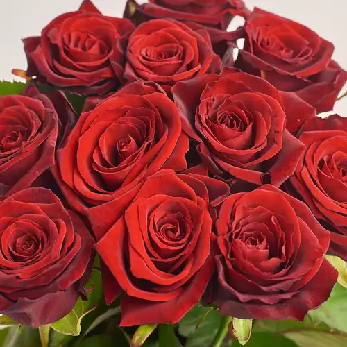Product image Bouquet of 11 Red Roses, packaging: Gradiens pink, vendor code: 2870
