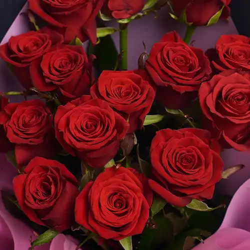 Product image Bouquet of 15 Red Roses Prestige , packaging: 
Graphite, vendor code: 2873