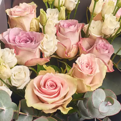 Product image Bouquet 728, packaging: 
Graphite, vendor code: 2883