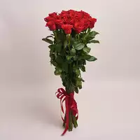Букет 25 Красных роз Фридом 100 см